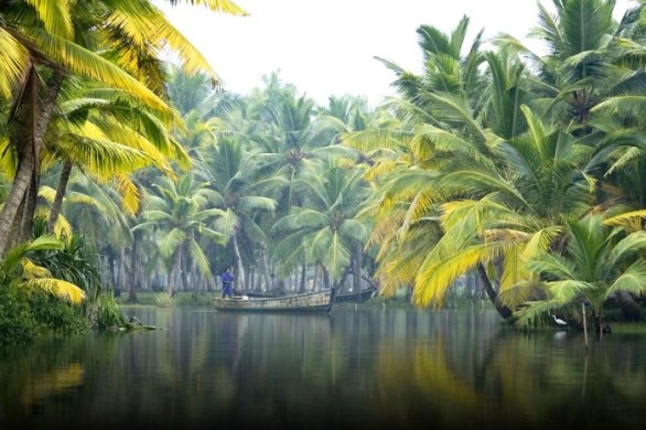 Backwaters, Alleppey, Kelara