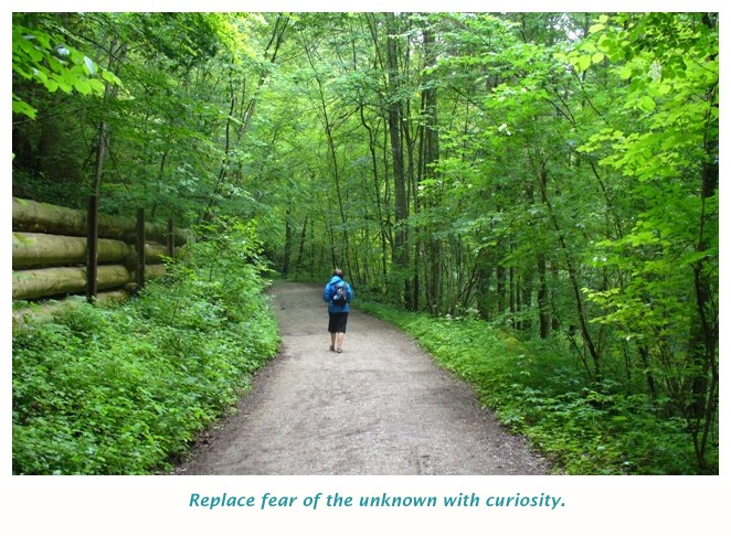 Travel through the woods, embrace the unknown