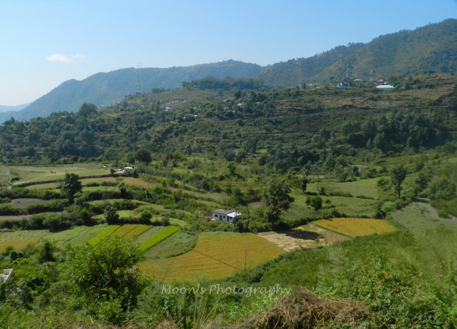 Paragliding site, Bhimtal, Nainital, Uttarakhand, Kumaon