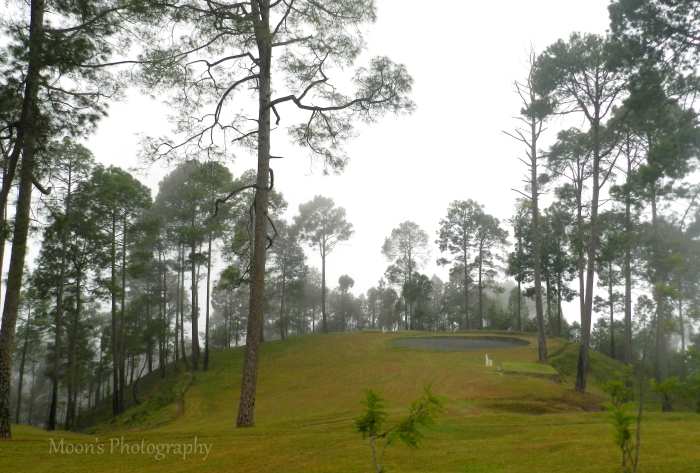 meadow, Ranikhet, Golf Course, Almora, Kumaon, Uttarakhand