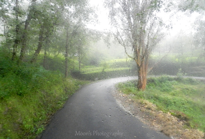 Rain, Ranikhet, Almora, Kumaon, Uttarakhand