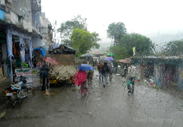 Town, Ranikhet, Almora,  Kumaon, Uttarakhand