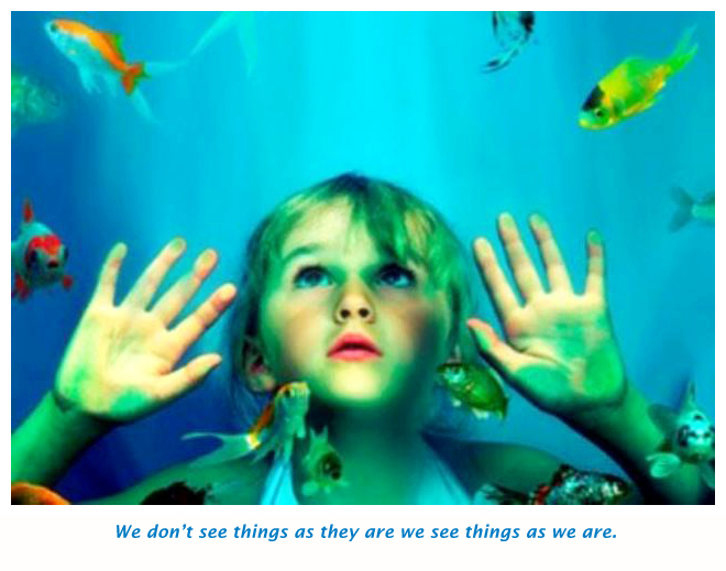 Travel to see new things