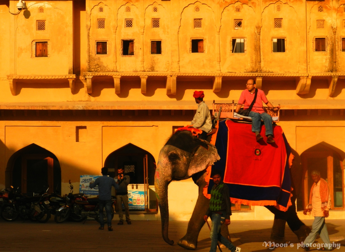 elephant ride at Amer Fort, Jaipur, Rajasthan