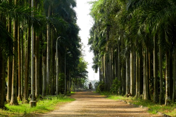 Pathway, Shibpur Botanical Garden, Howrah, Kolkata