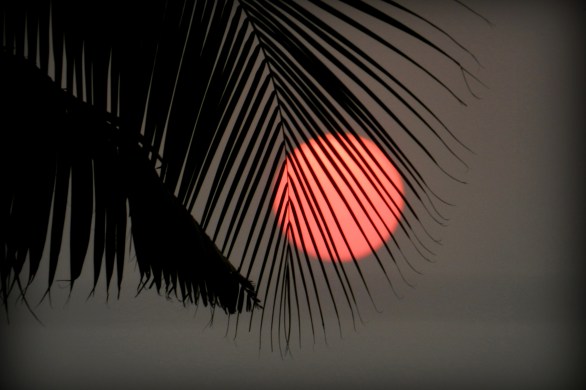 sunset, sunset photography, sunset moment