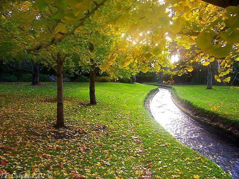 Adelaide, icc cricket world cup match 2015