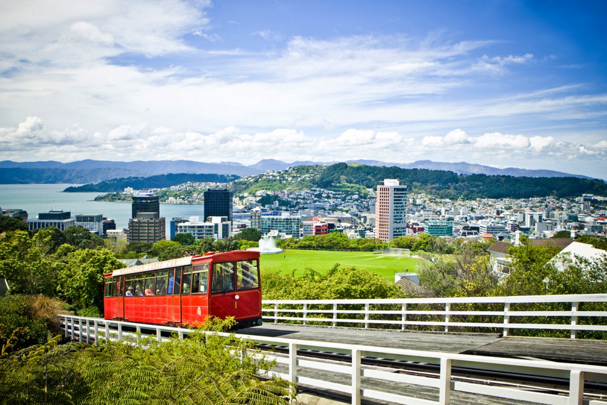 Wellington, Icc Cricket World Cup, 2015, NZL