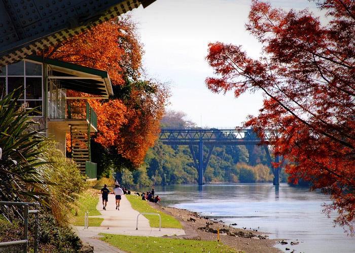 Hamilton, NZL, icc cricket world cup venue