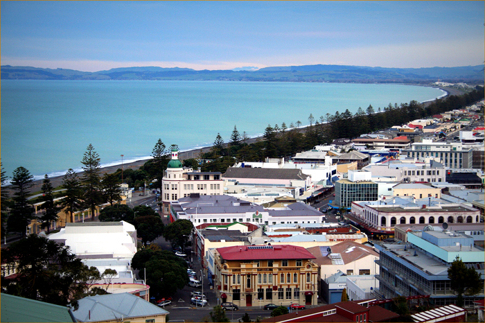 Napier, Nzl, Icc cricket world cup, 2015, cricket