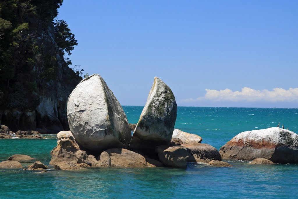 Nelson, icc cricket world cup, 2015