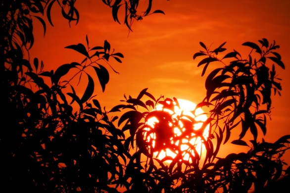 sunset at Shantiniketan