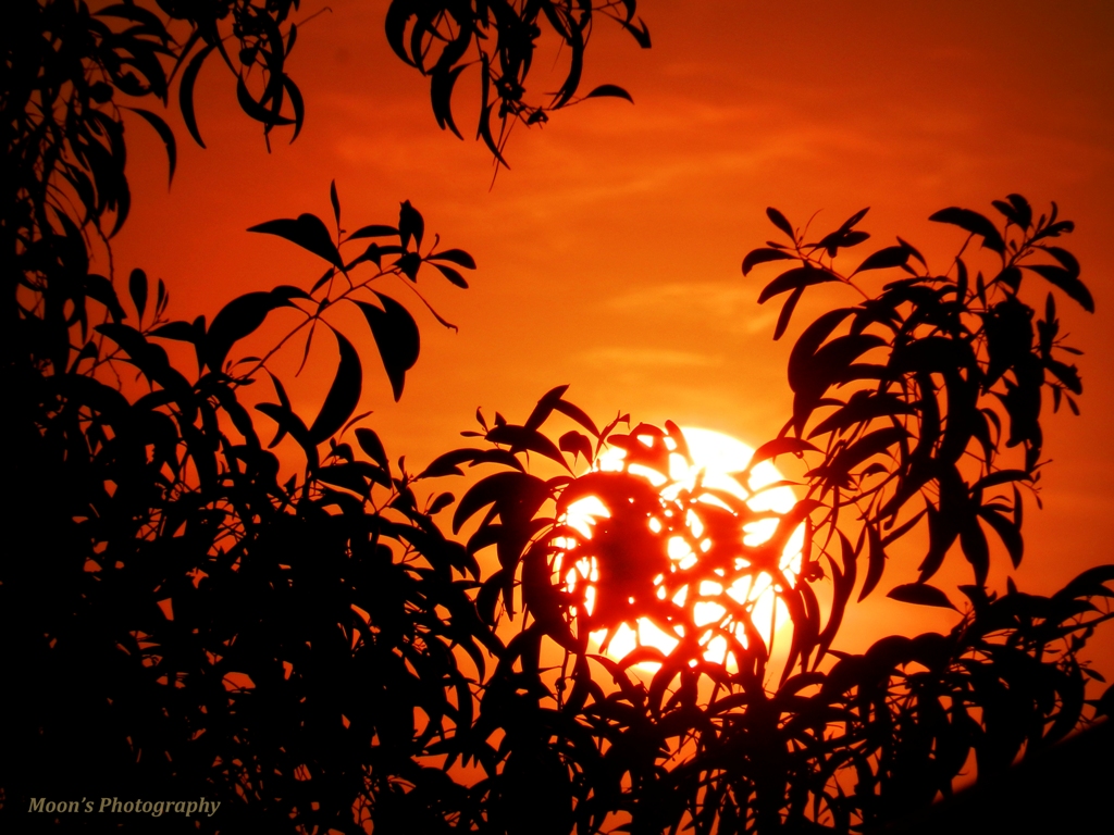 sunset at Shantiniketan