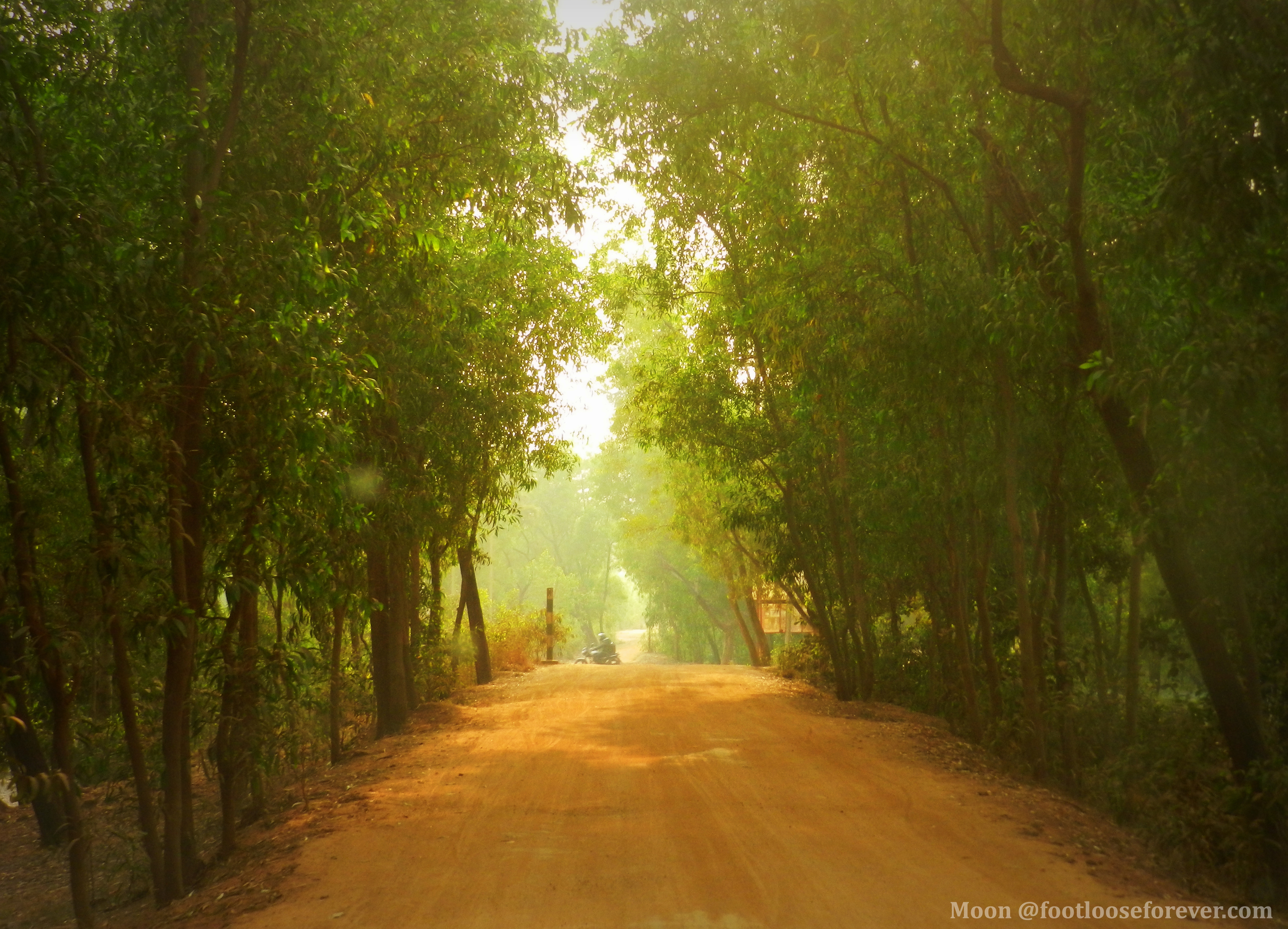 way to prakriti bhavan, shantiniketan, country road