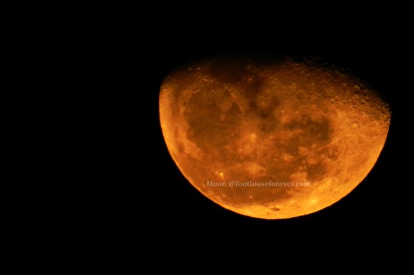 moon, blood moon, ephemeral moon, moon's phase