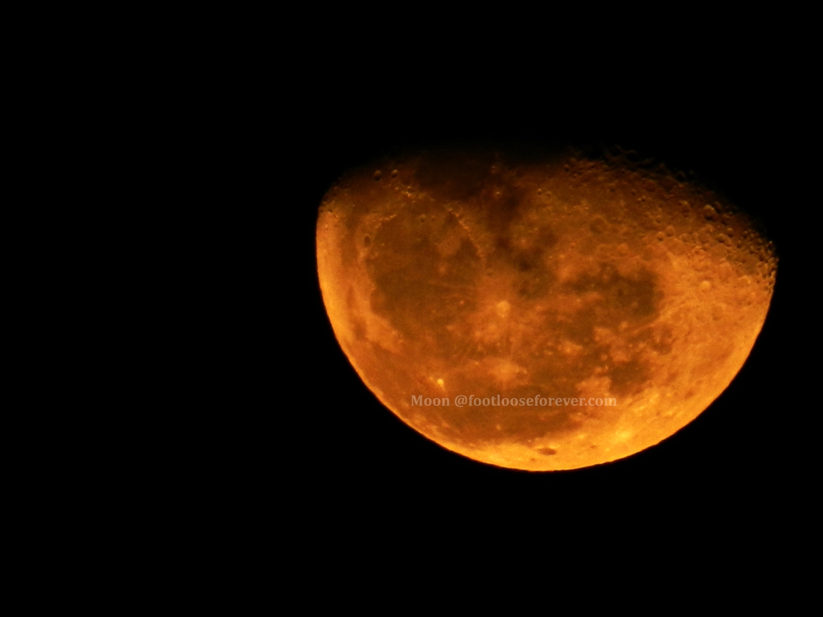 moon, blood moon, ephemeral moon, moon's phase