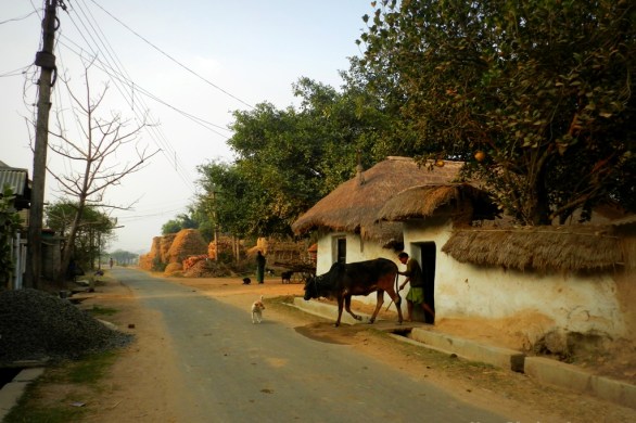 farmer going to field, bolpur, shantiniketan, rural life,