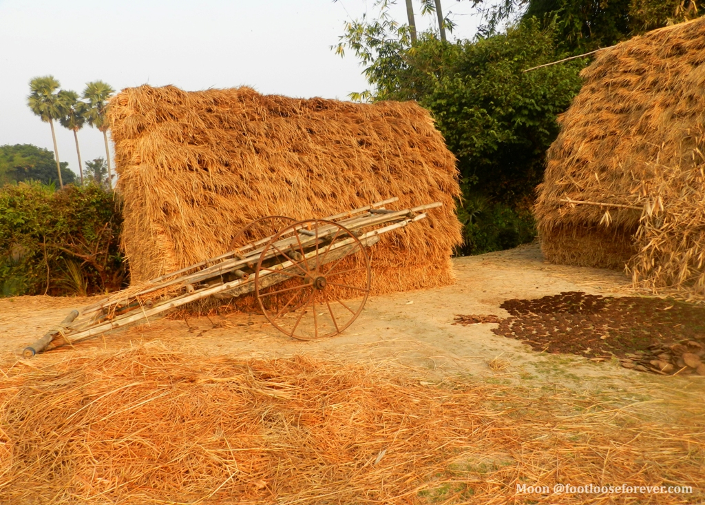 haystacks, village road, shantiniketan, bolpur