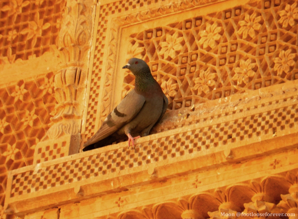Jaisalmer fort wall decorations, stone lattice works