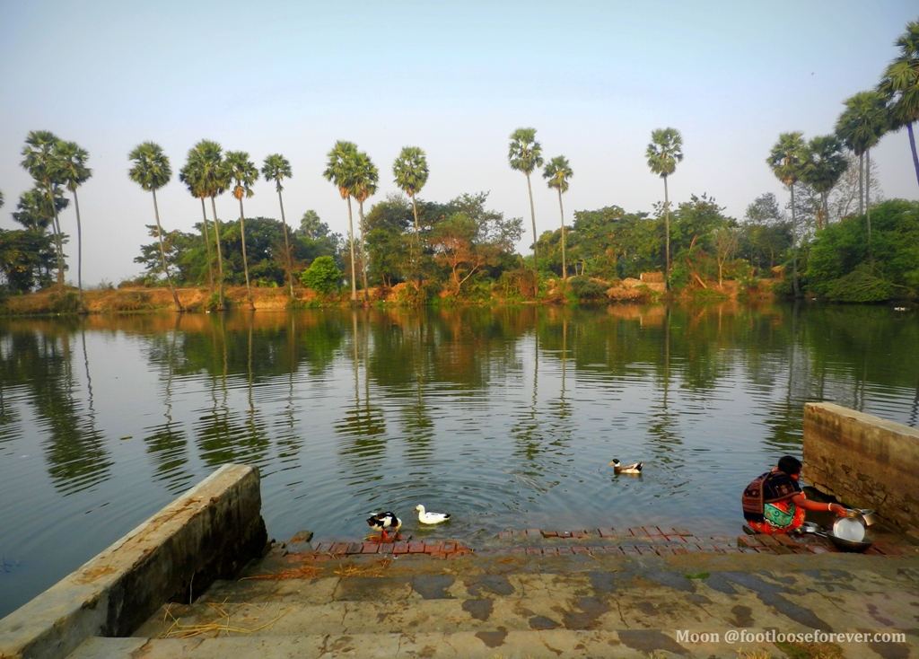 pond, women at pond, shantiniketan, bolpur, rural bengal