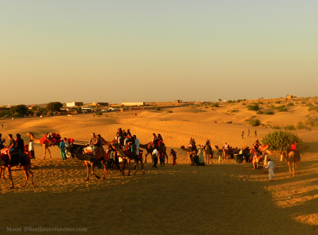 camel ride, thar desert, jaisalmer, rajasthan