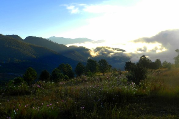 morning, light, hills, kumaon, choukori, uttarakhand