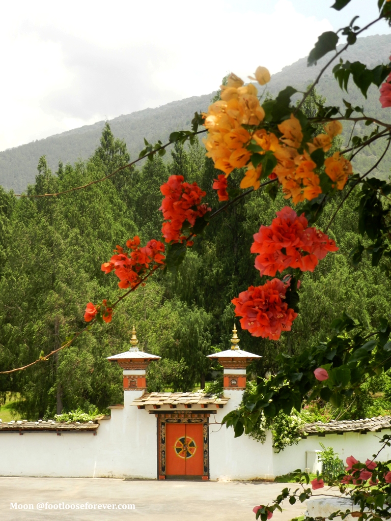 door, doorway, gate, door, doorway, monastery, Punakha, Bhutan
