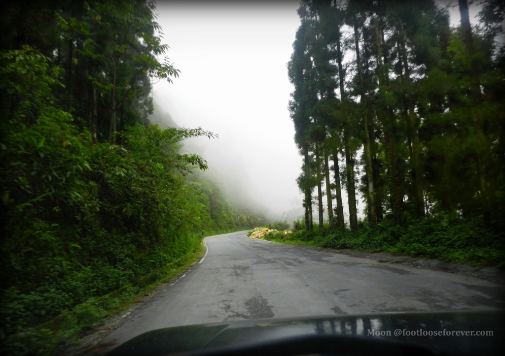 cloud, fog, mist, mountain roads