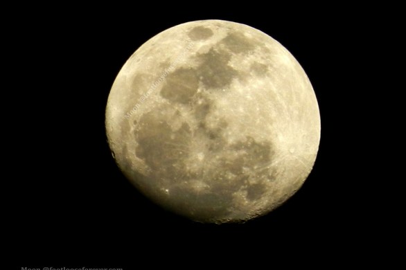 moon, full moon, close up