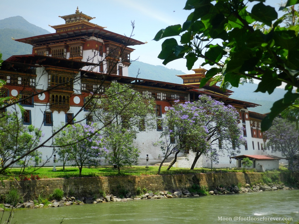punakha monastery (2)