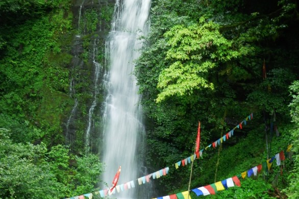 waterfalls, nature, stream