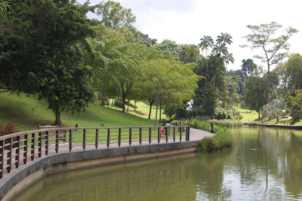Singapore botanic garden, singapore walking tours
