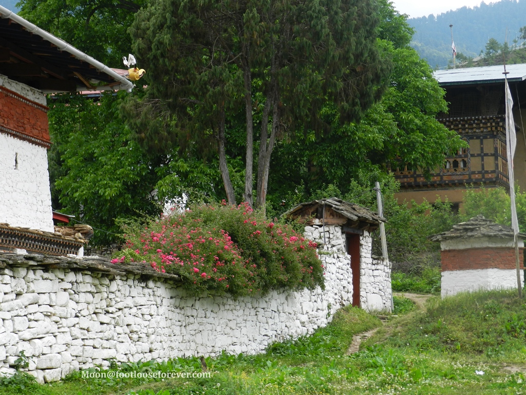kichu monastery premises, paro, bhutan