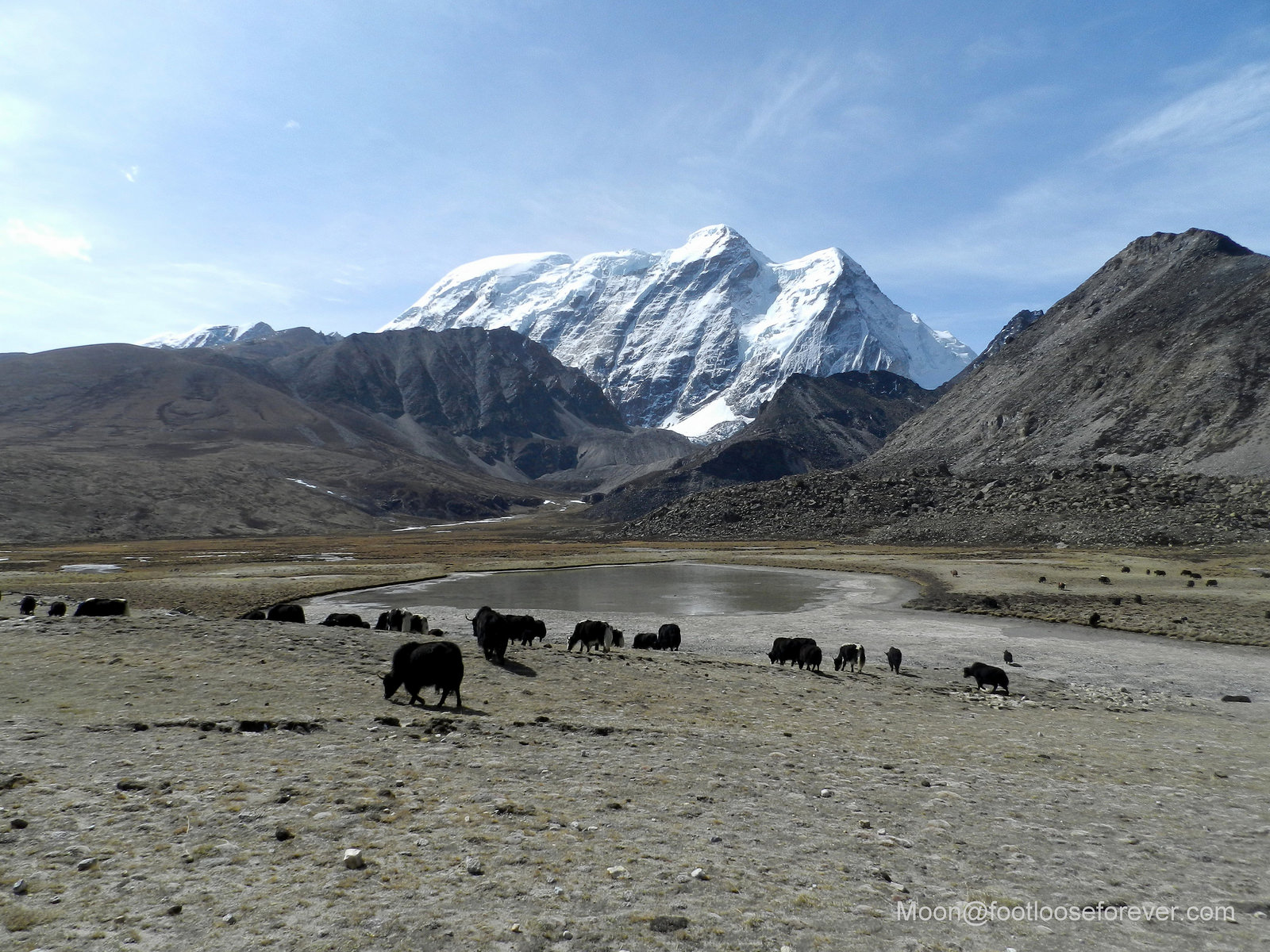 27150318012_3e53ac0ac2_h