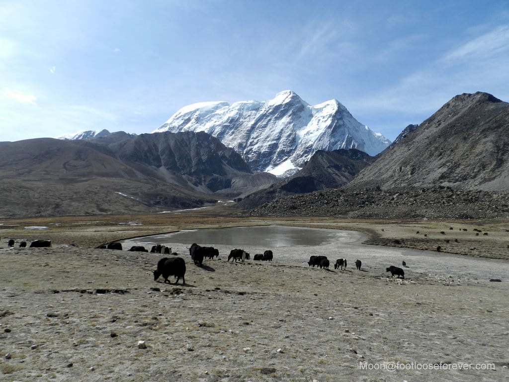 27150318012_933fd02687_b