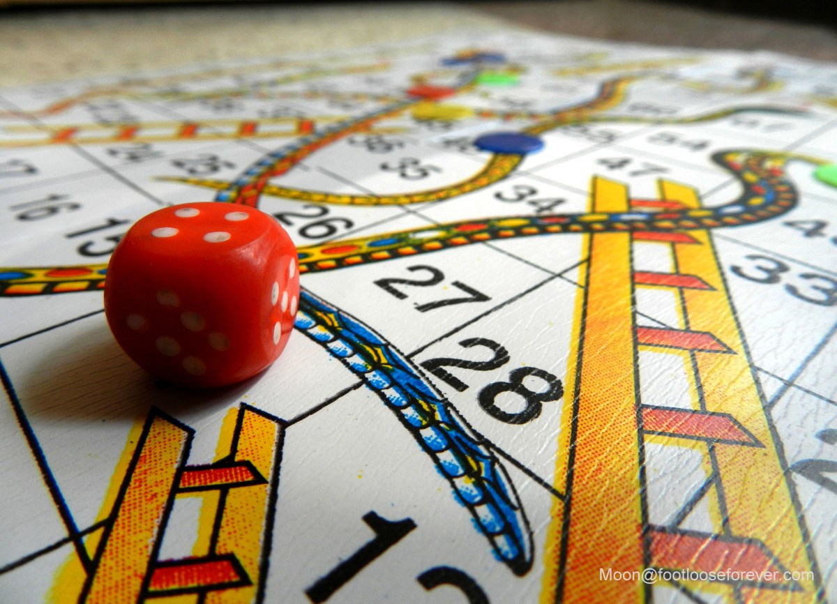 ludu, board game, dice, dp photo challenge