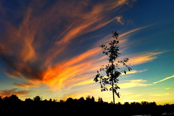 missoula, mt, hipmunk hotels