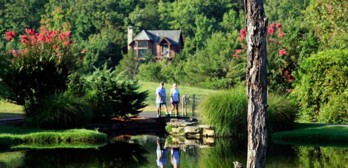 branson missouri, forest, wilderness