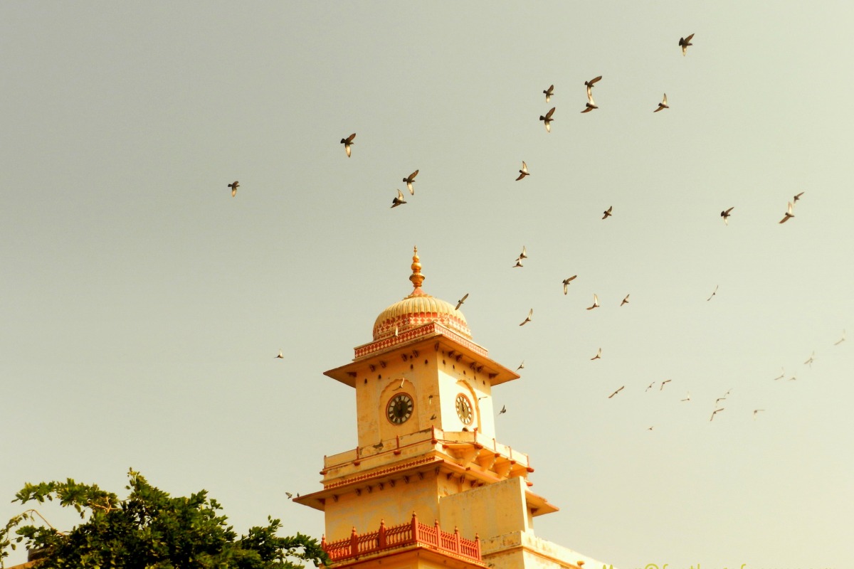 clock tower, Jaipur, rajasthan, architecture