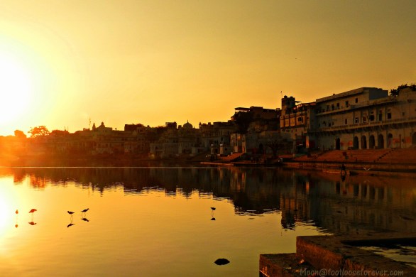 pushkar, holy lake, rajasthan, twilight, temples