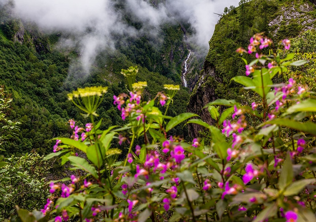 Nanda devi National Park, Uttarakhand