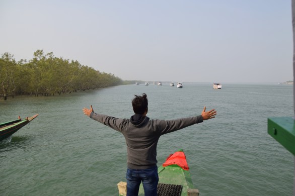 sundarbans, mangrove forest